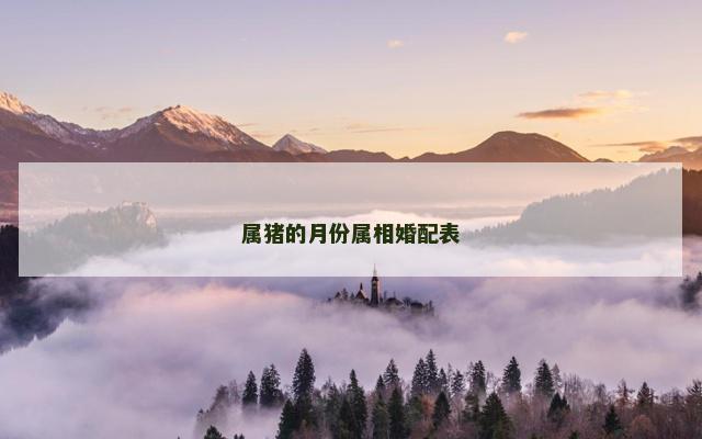 属猪的月份属相婚配表