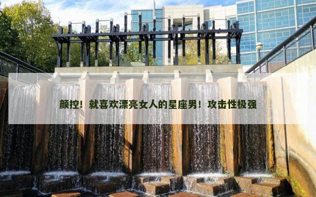 颜控！就喜欢漂亮女人的星座男！攻击性极强