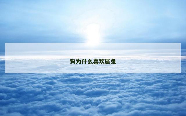 狗为什么喜欢属兔