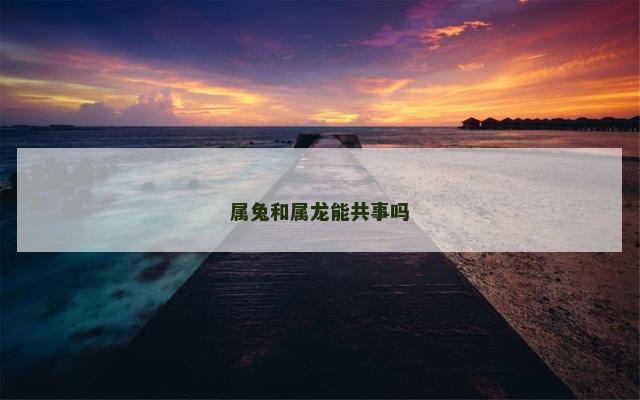 属兔和属龙能共事吗