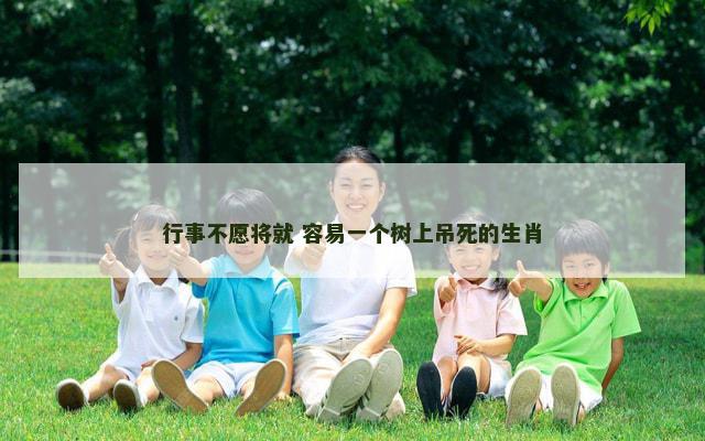 行事不愿将就 容易一个树上吊死的生肖