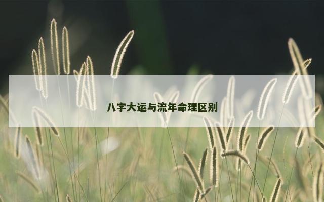 八字大运与流年命理区别