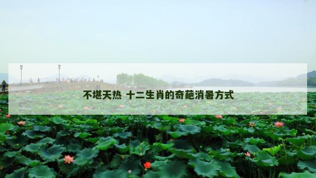 不堪天热 十二生肖的奇葩消暑方式