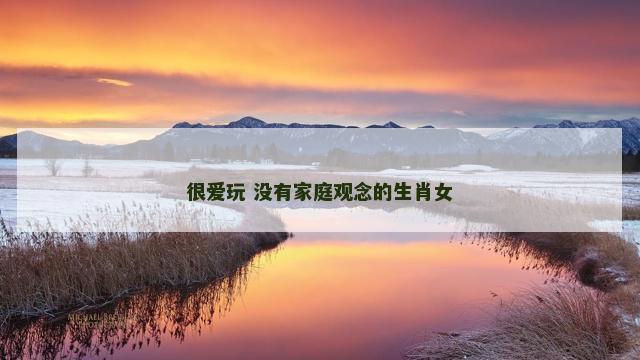 很爱玩 没有家庭观念的生肖女