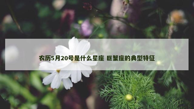 农历5月20号是什么星座 巨蟹座的典型特征