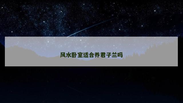 风水卧室适合养君子兰吗