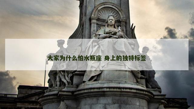 大家为什么怕水瓶座 身上的独特标签