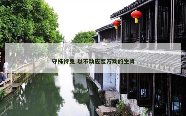 守株待兔 以不动应变万动的生肖