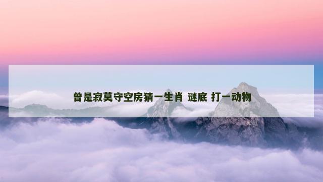 曾是寂莫守空房猜一生肖 谜底 打一动物