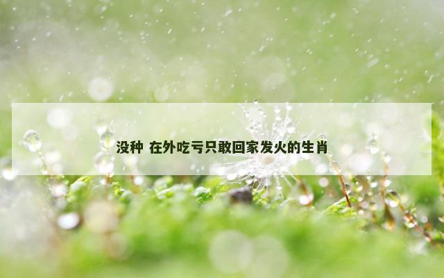 没种 在外吃亏只敢回家发火的生肖