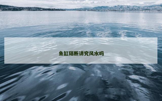鱼缸隔断讲究风水吗