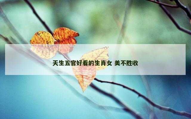 天生五官好看的生肖女 美不胜收