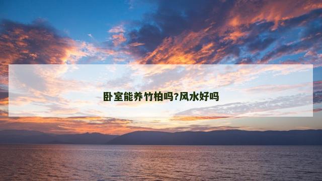 卧室能养竹柏吗?风水好吗