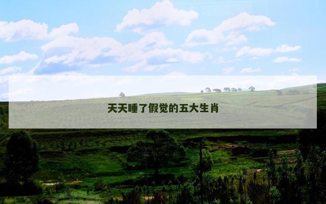 天天睡了假觉的五大生肖