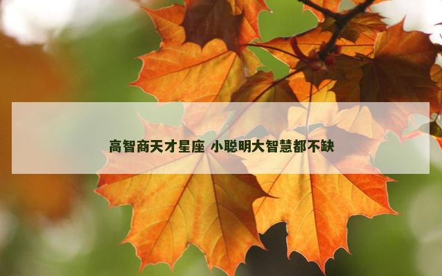 高智商天才星座 小聪明大智慧都不缺