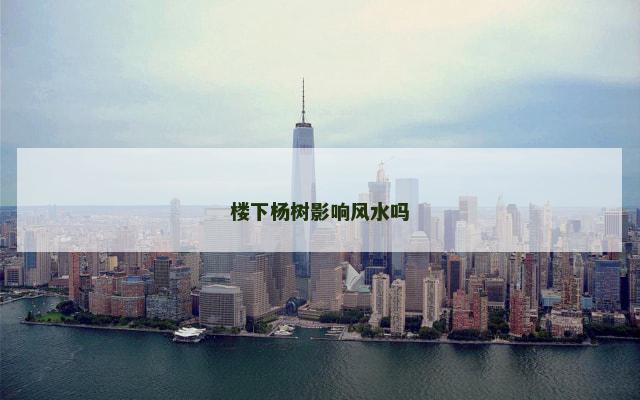 楼下杨树影响风水吗