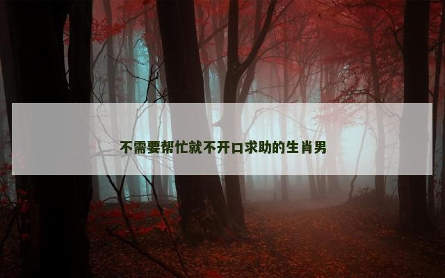 不需要帮忙就不开口求助的生肖男