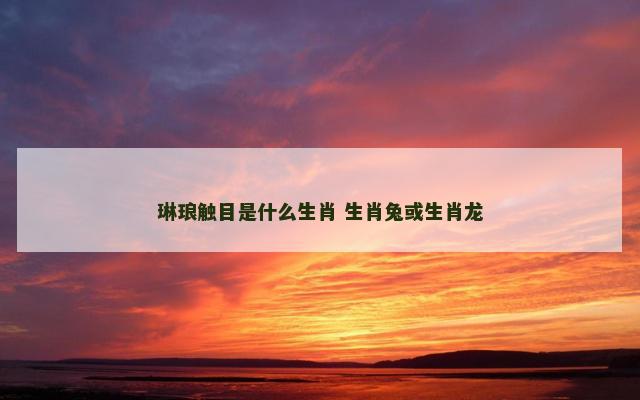 琳琅触目是什么生肖 生肖兔或生肖龙