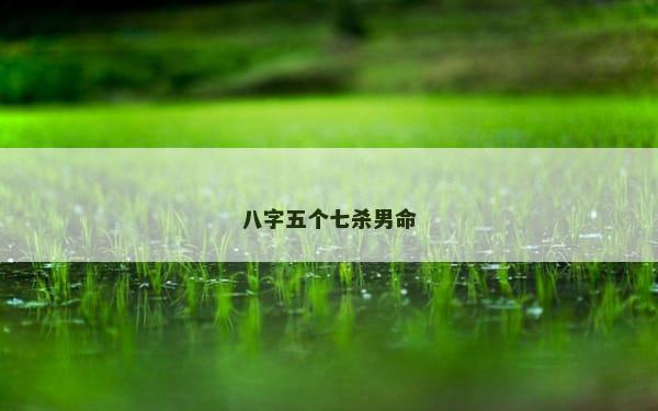 八字五个七杀男命