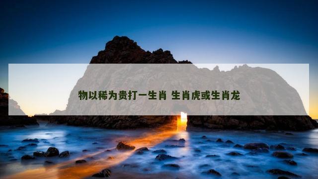 物以稀为贵打一生肖 生肖虎或生肖龙
