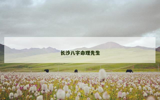 长沙八字命理先生