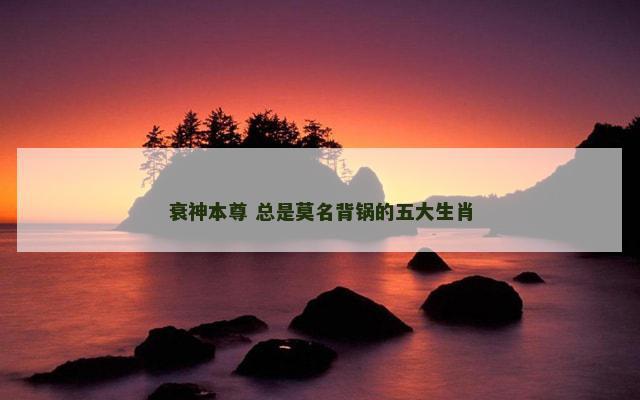 衰神本尊 总是莫名背锅的五大生肖