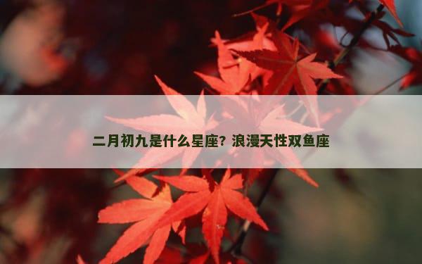二月初九是什么星座? 浪漫天性双鱼座