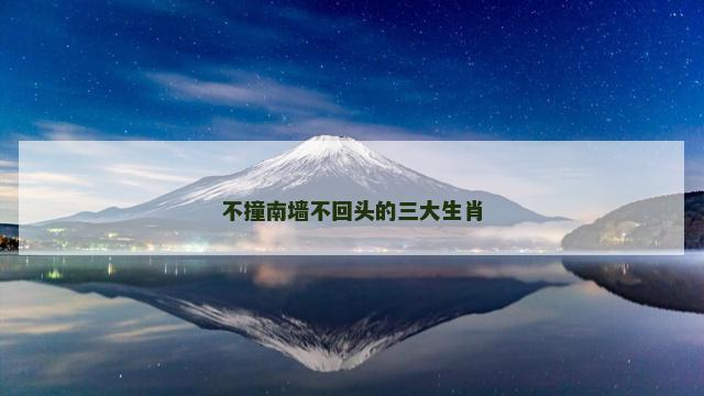 不撞南墙不回头的三大生肖