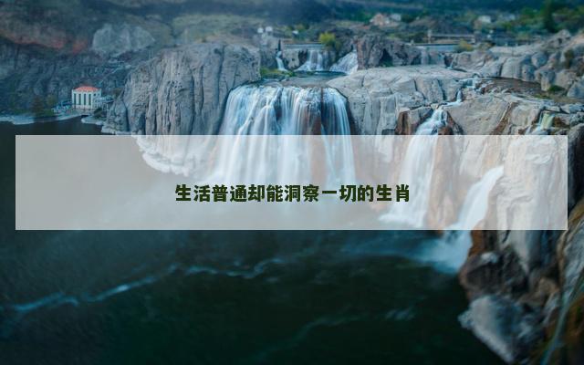 生活普通却能洞察一切的生肖