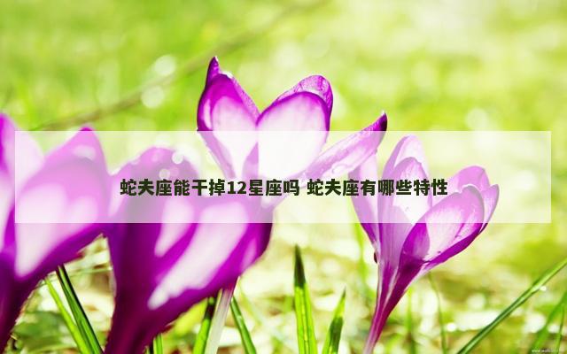 蛇夫座能干掉12星座吗 蛇夫座有哪些特性