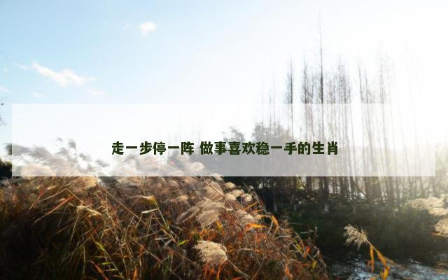 走一步停一阵 做事喜欢稳一手的生肖
