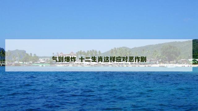 气到爆炸 十二生肖这样应对恶作剧