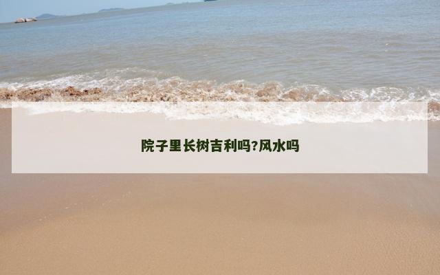 院子里长树吉利吗?风水吗
