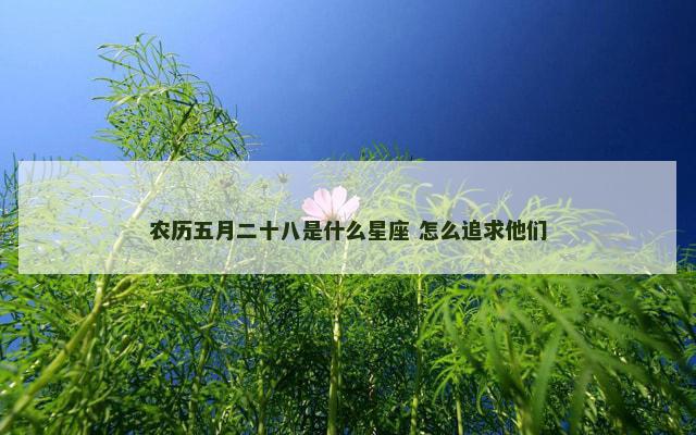 农历五月二十八是什么星座 怎么追求他们