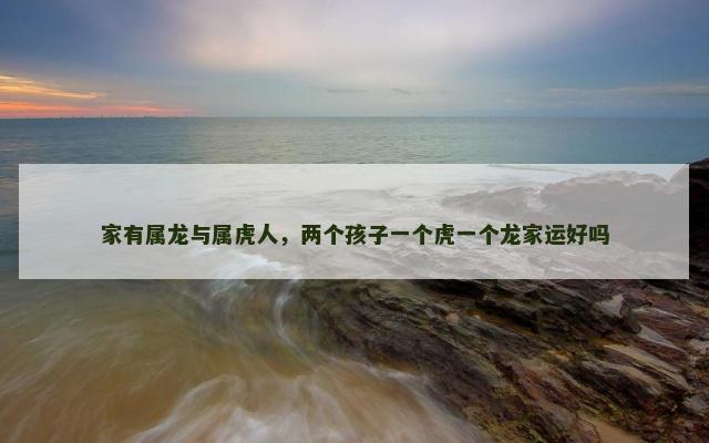 家有属龙与属虎人，两个孩子一个虎一个龙家运好吗