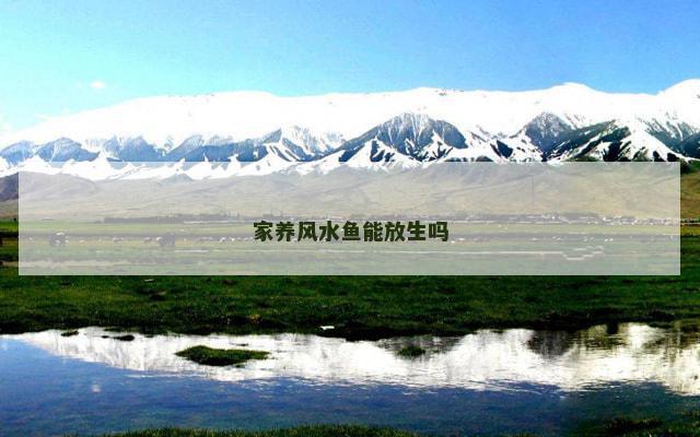 家养风水鱼能放生吗