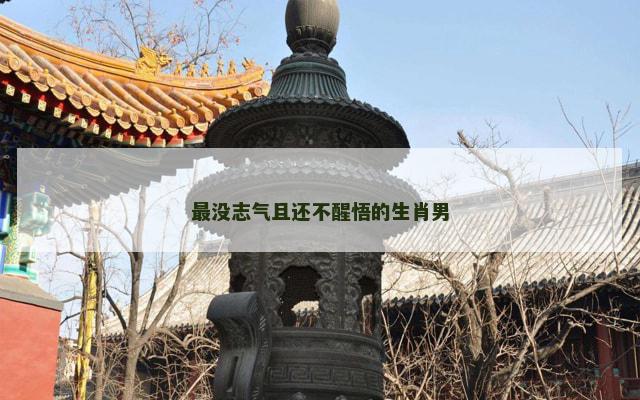 最没志气且还不醒悟的生肖男