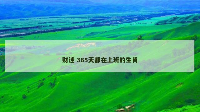 财迷 365天都在上班的生肖