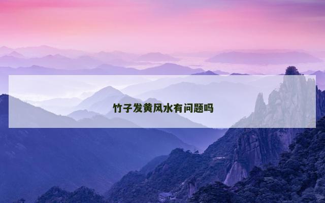 竹子发黄风水有问题吗