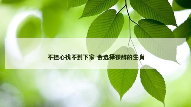不担心找不到下家 会选择裸辞的生肖