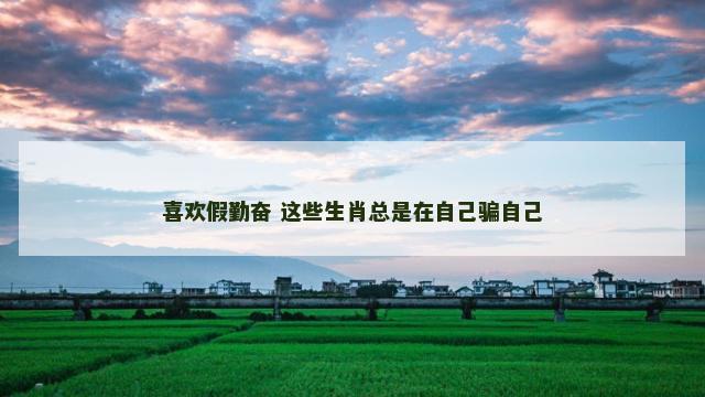 喜欢假勤奋 这些生肖总是在自己骗自己