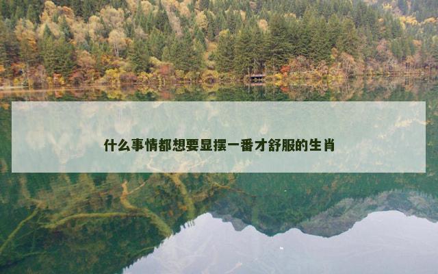 什么事情都想要显摆一番才舒服的生肖