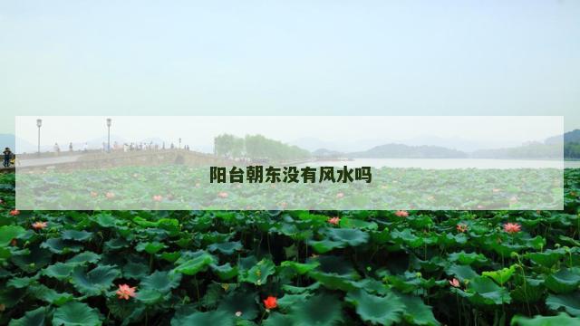 阳台朝东没有风水吗