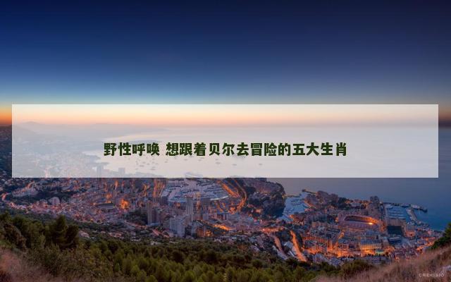 野性呼唤 想跟着贝尔去冒险的五大生肖