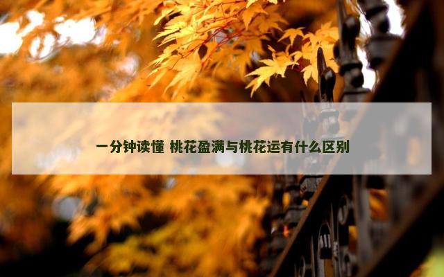 一分钟读懂 桃花盈满与桃花运有什么区别