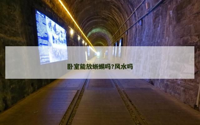 卧室能放蜥蜴吗?风水吗
