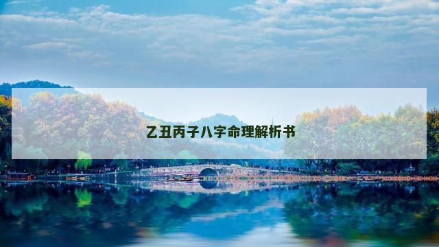 乙丑丙子八字命理解析书