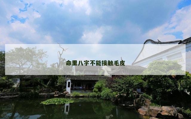命里八字不能接触毛皮