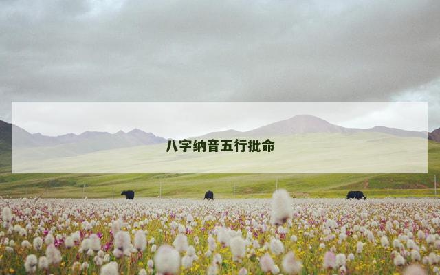 八字纳音五行批命