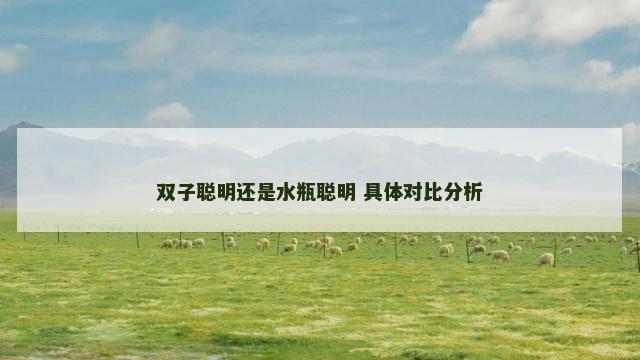 双子聪明还是水瓶聪明 具体对比分析